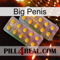 Big Penis new10